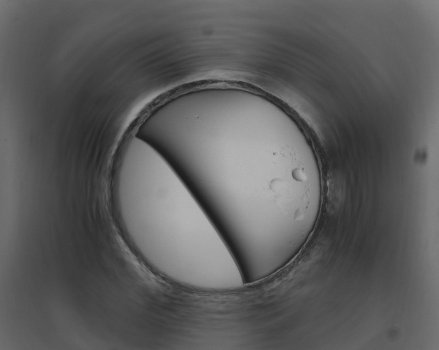 X0000096640972200802050954