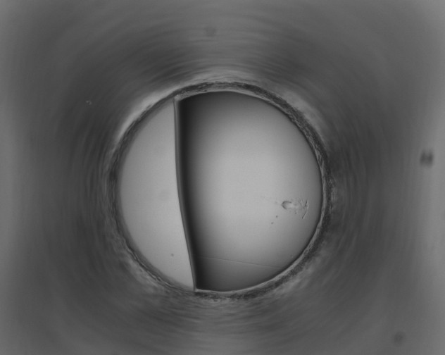 X0000096640973200802050954