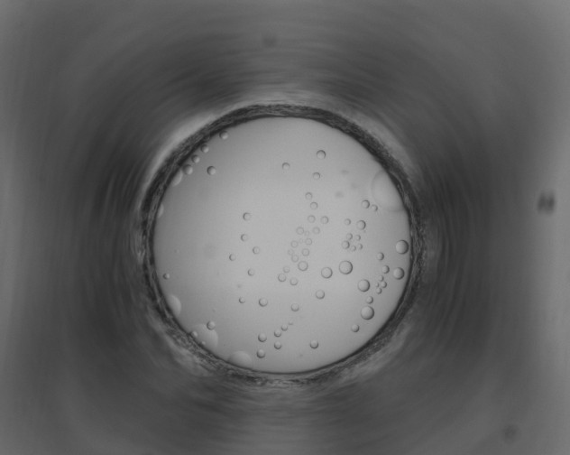 X0000096640974200802050954