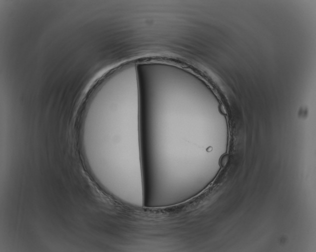 X0000096640975200802050954