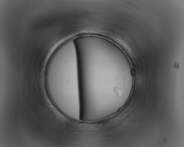 X0000096640976200802050954