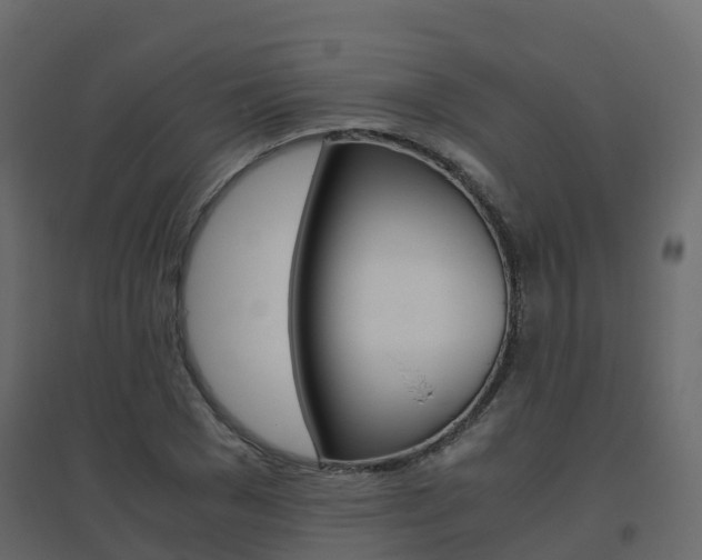 X0000096640977200802050954