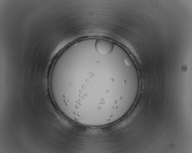 X0000096640978200802050954