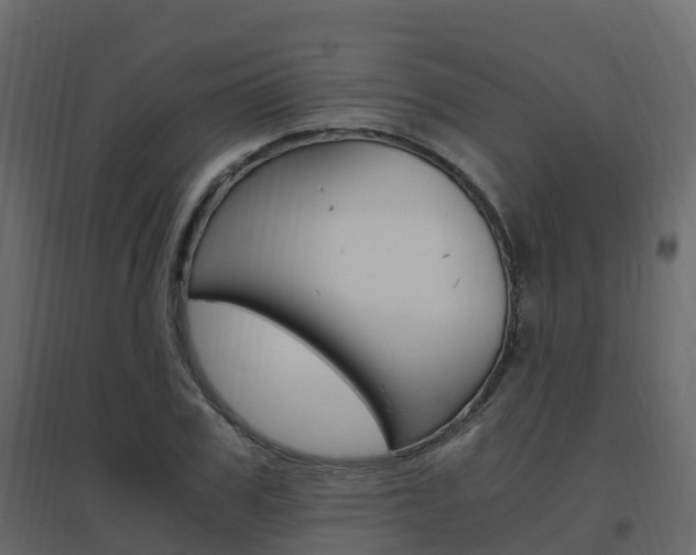 X0000096640979200802050954