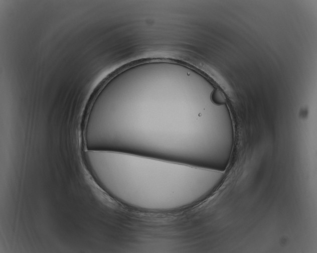 X0000096640980200802050954