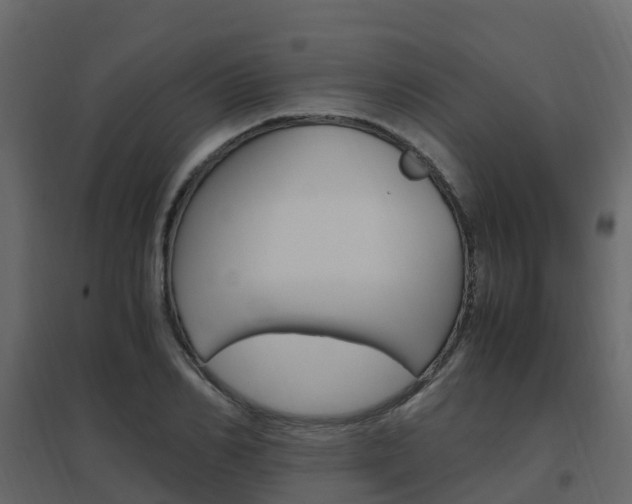 X0000096640982200802050954