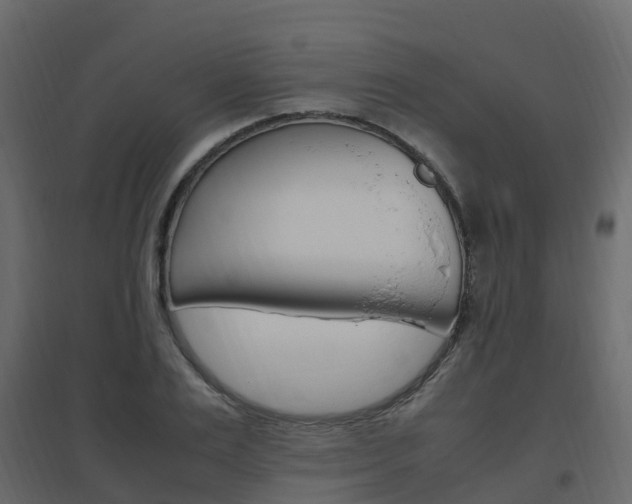 X0000096640983200802050954