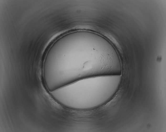 X0000096640984200802050954