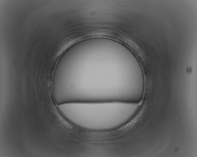 X0000096640985200802050953