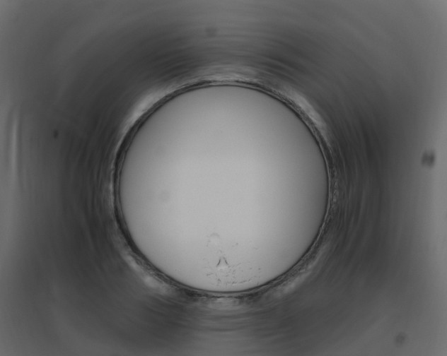 X0000096640986200802050953
