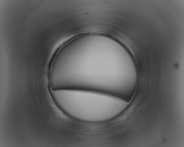 X0000096640987200802050953