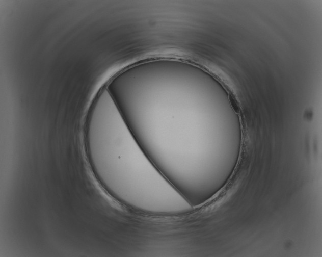X0000096640989200802050953