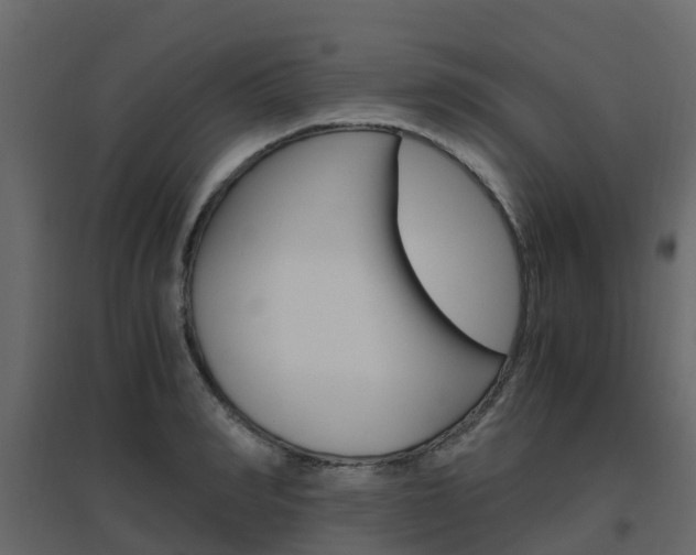 X0000096640990200802050953