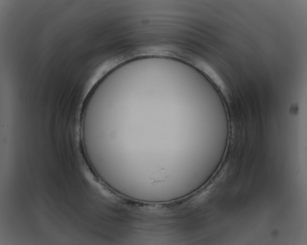 X0000096640994200802050953