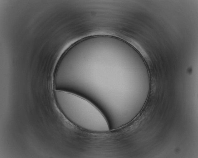 X0000096640996200802050953