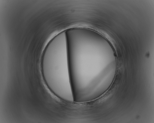 X0000096640997200802050953