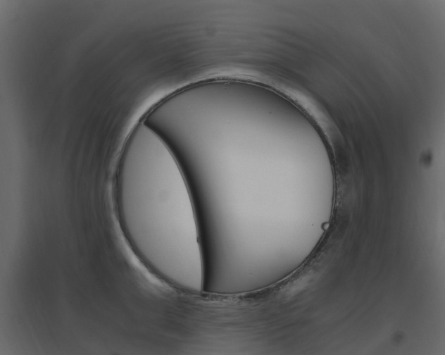 X0000096640999200802050953