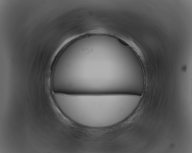 X0000096641000200802050953