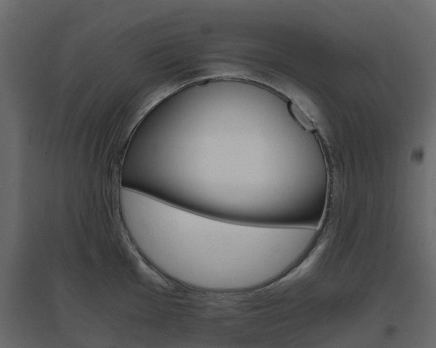 X0000096641001200802050953