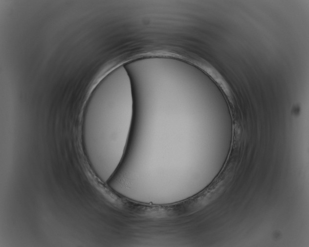 X0000096641002200802050953
