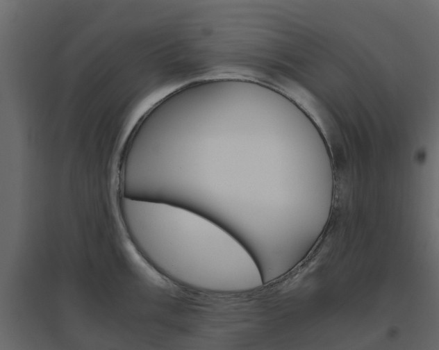X0000096641003200802050953