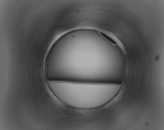 X0000096641004200802050953