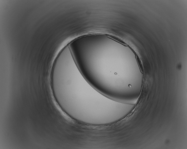 X0000096641005200802050953