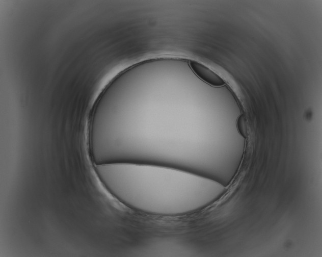 X0000096641006200802050953