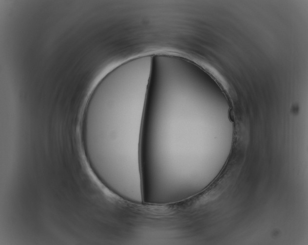 X0000096641007200802050953