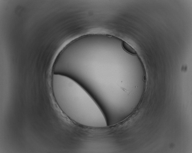 X0000096641008200802050953