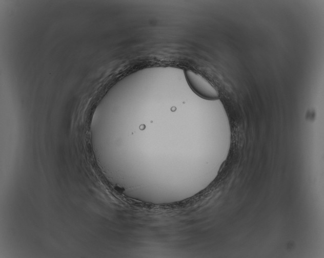 X0000096641009200802050952