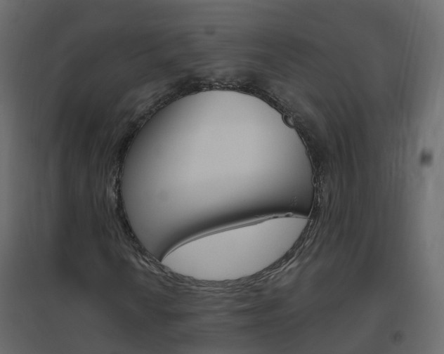 X0000096641010200802050952
