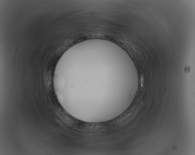 X0000096641011200802050952