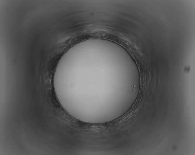 X0000096641013200802050952