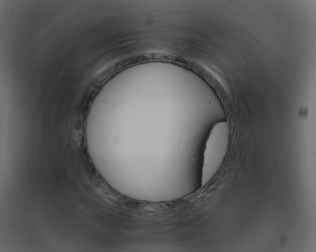 X0000096641015200802050952