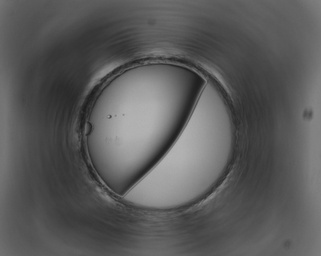 X0000096641018200802050952