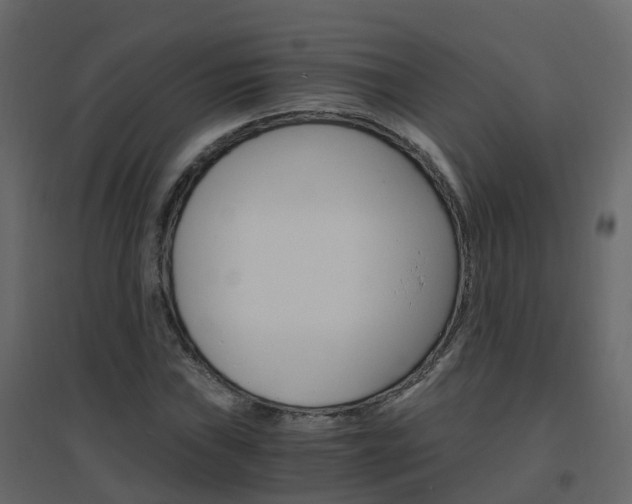 X0000096641019200802050952