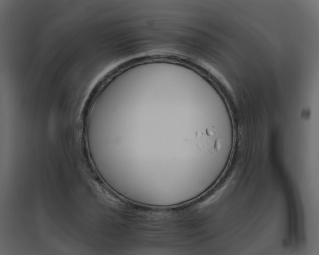 X0000096641021200802050953