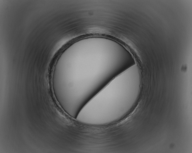 X0000096641022200802050953