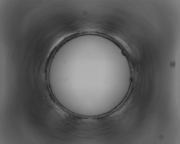 X0000096641023200802050953