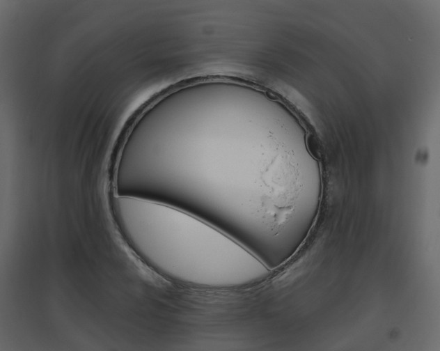 X0000096641024200802050953
