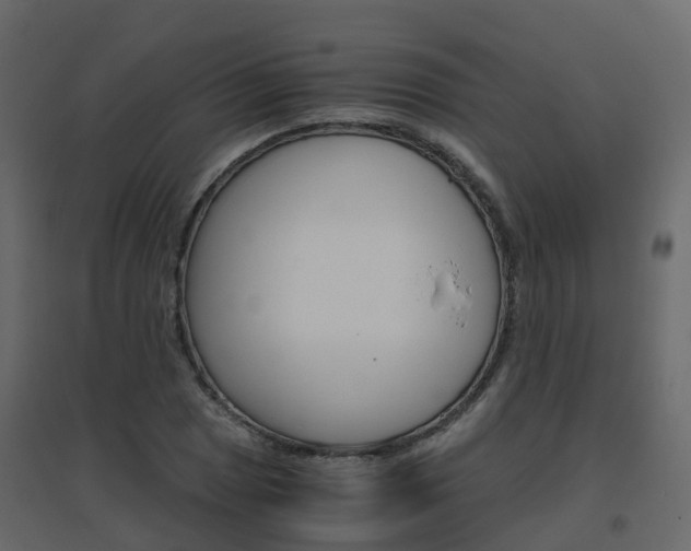 X0000096641025200802050953