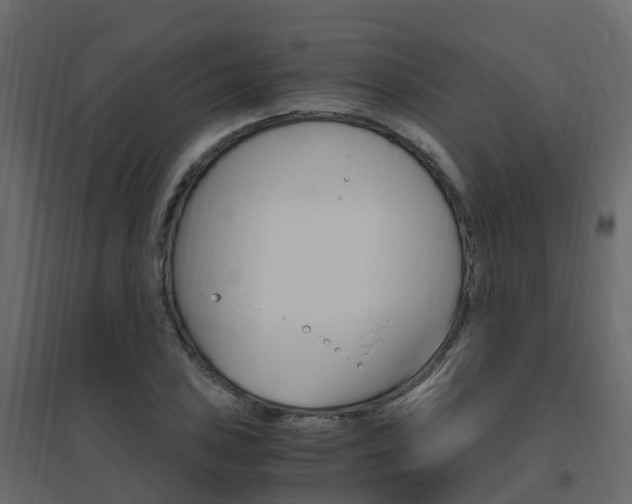 X0000096641027200802050953