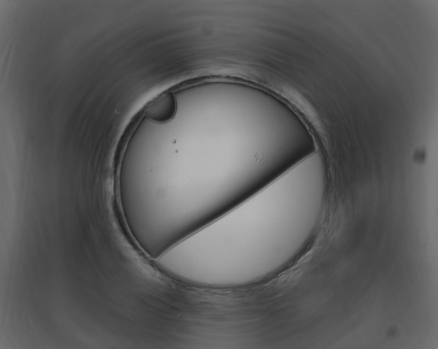 X0000096641028200802050953