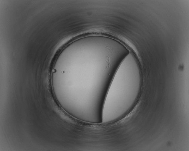 X0000096641029200802050953