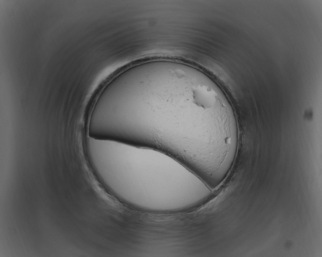 X0000096641030200802050953
