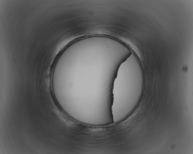 X0000096641031200802050953