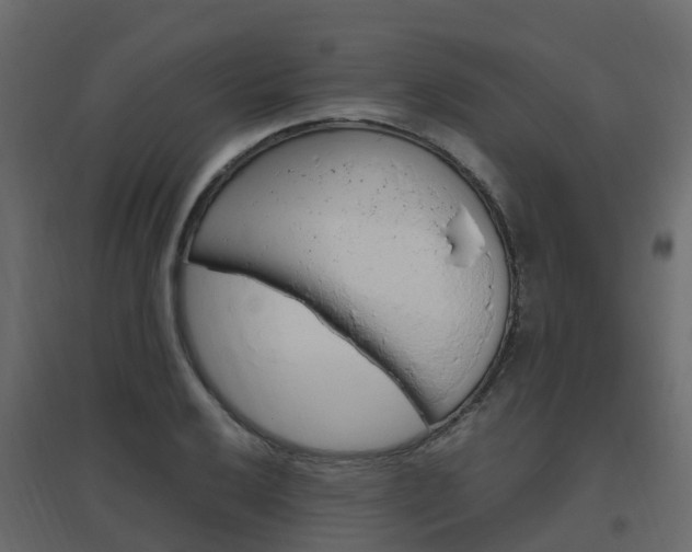 X0000096641032200802050953
