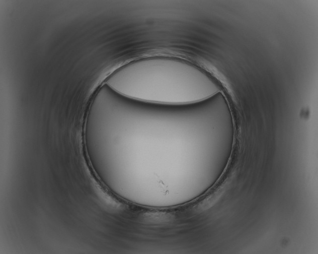 X0000096641033200802050953