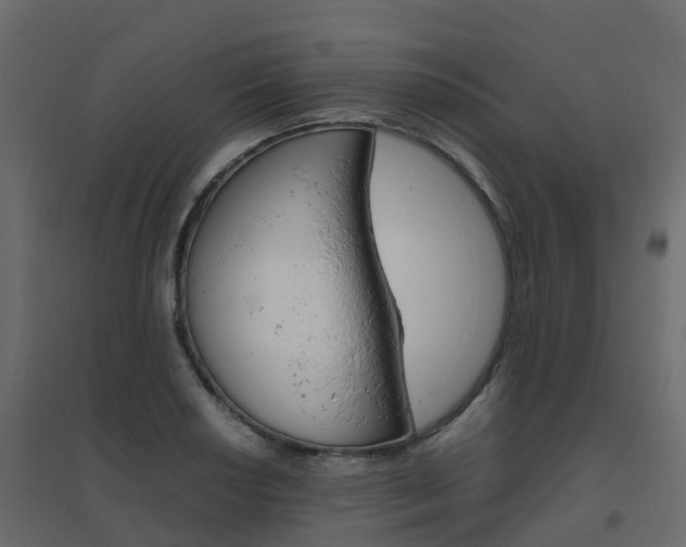 X0000096641034200802050953